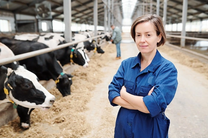 Woman standing with arms crossed in front of cattle